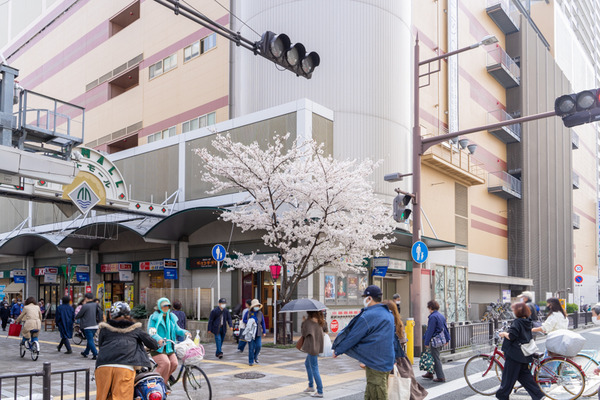 桜-21032921