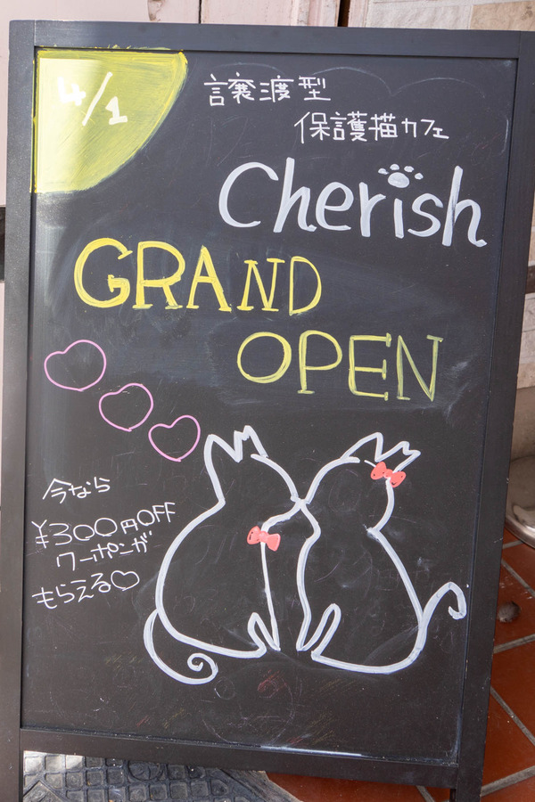 cherish20240417114031