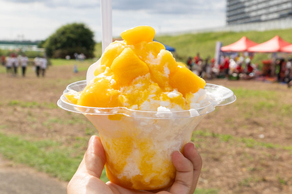 高槻開場20240915134017