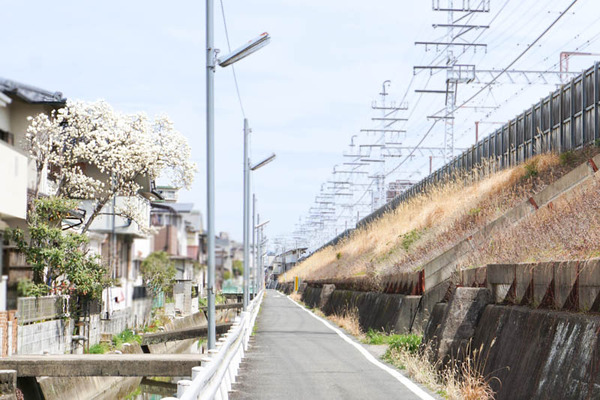 高槻風景-202203231