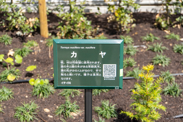駒音公園20250318110559