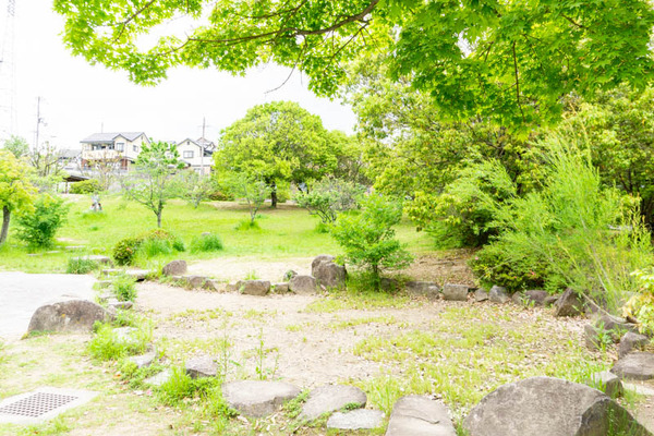 緑ヶ丘公園-2021051621