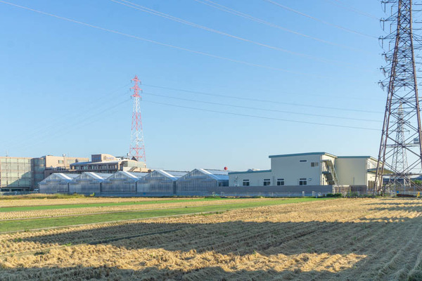 中野農園20211015161525