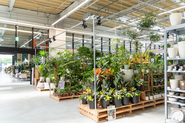 ビバホーム20250520093206