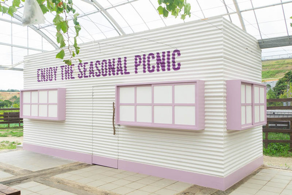 THEFARM20230822103206