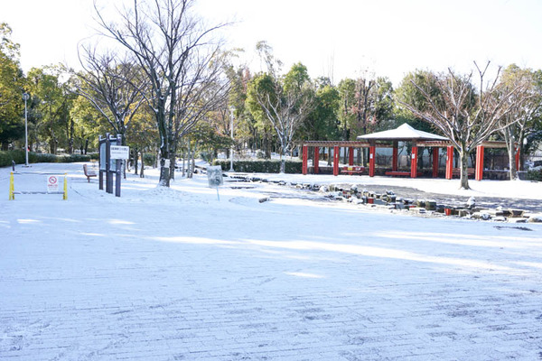 雪-202301253