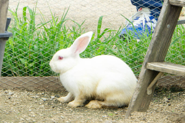 THEFARM20230822103748