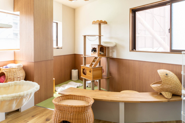 cherish20240417113259