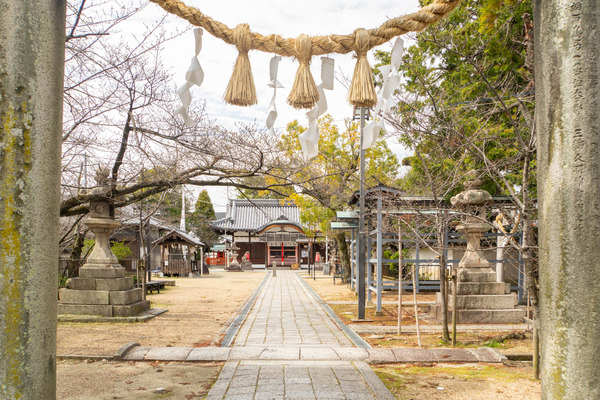 三輪神社で「第29回 花のお茶会 桜まつり」が開催されるみたい。利き酒・あま酒が無料ふるまい。3月31日