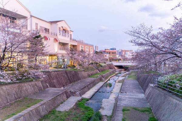 みのおキューズモール20240404181122