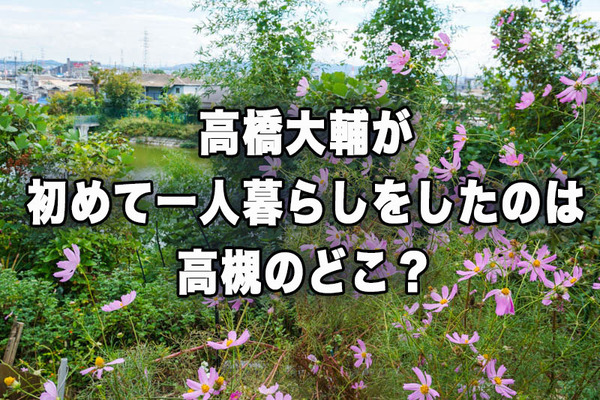 コスモス-202210181