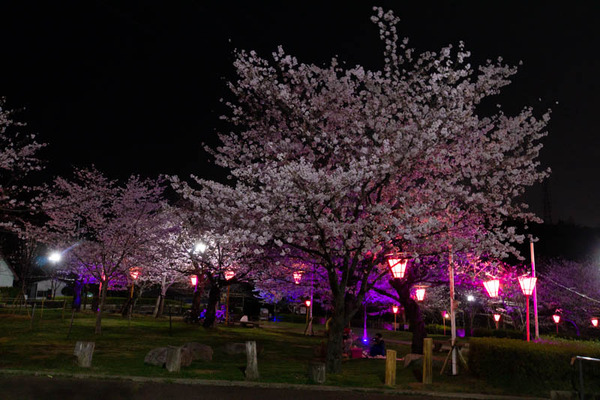 摂津峡20230326064535