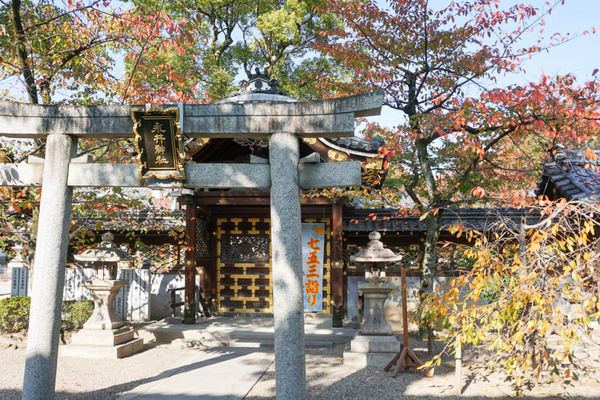 野見神社-202211106