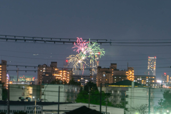 花火-2405043
