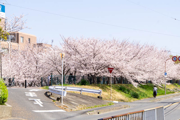 玉川橋20230329231003