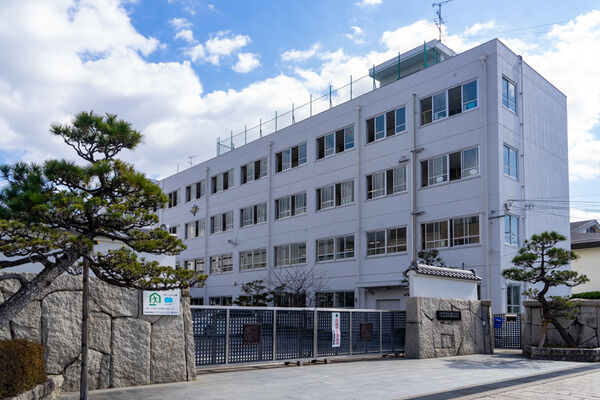 5966d83d-s
