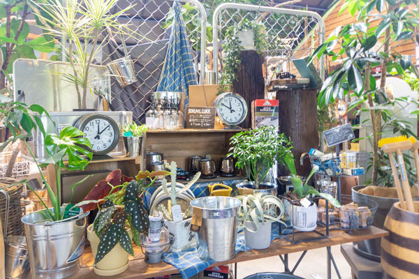 THEFARM20230822111831