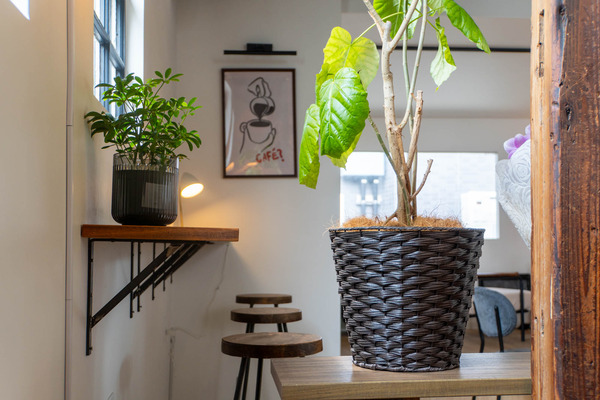 スライトコーヒー20250410115939