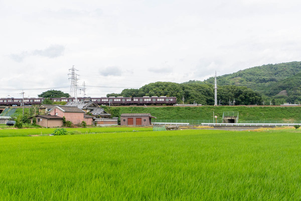 萩之庄からの阪急電車20240724103752