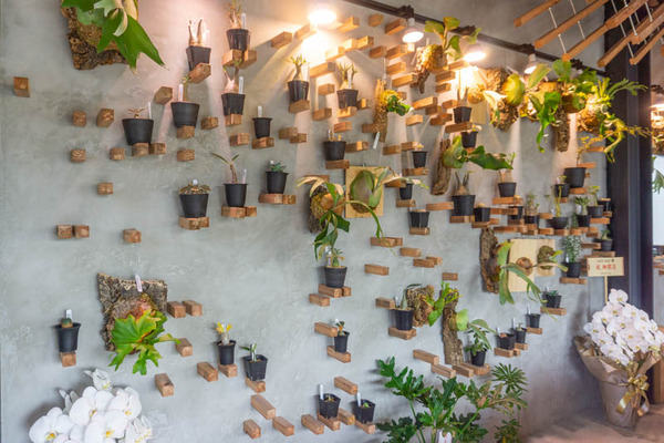 tureplants20211018131809