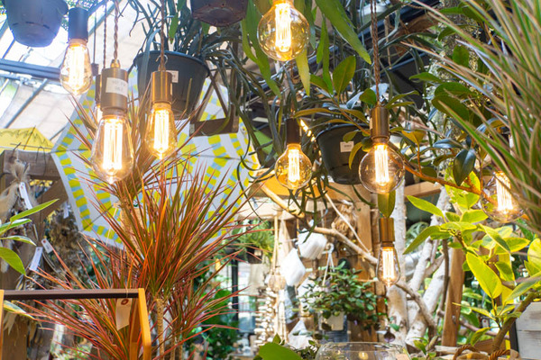 THEFARM20230822112047