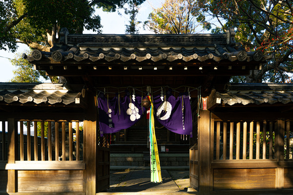 春日神社-20122211