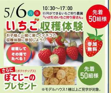 ok0506