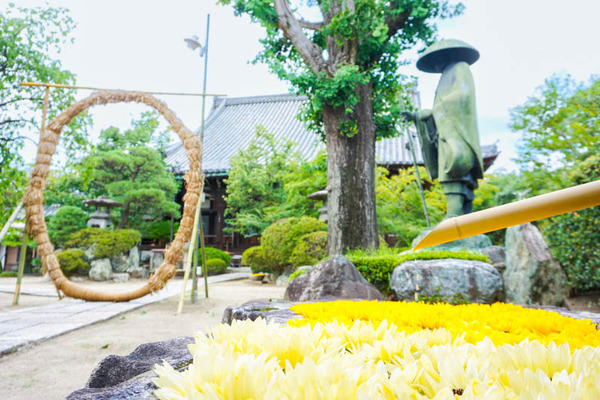 浄誓寺-2022070939