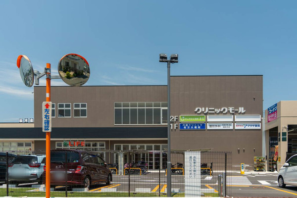 2913dda1c75c06af2cdeee1578a7ac4c-1024x683