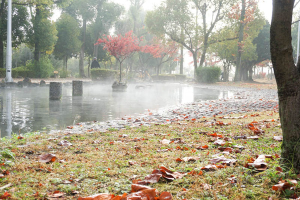 せせらぎ-202211223