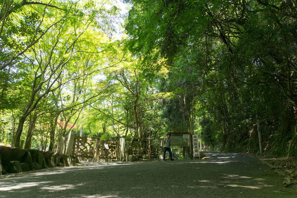 「神峰山の森（大阪府立北摂自然公園）」は第1〜第4日曜日に入園できるみたい