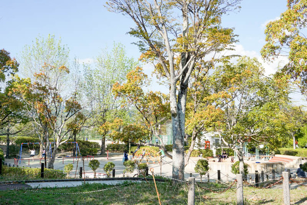 南平台中央公園-2022041725