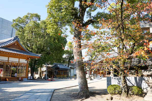 野見神社-202211105