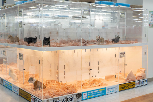 ビバホーム20250520094245