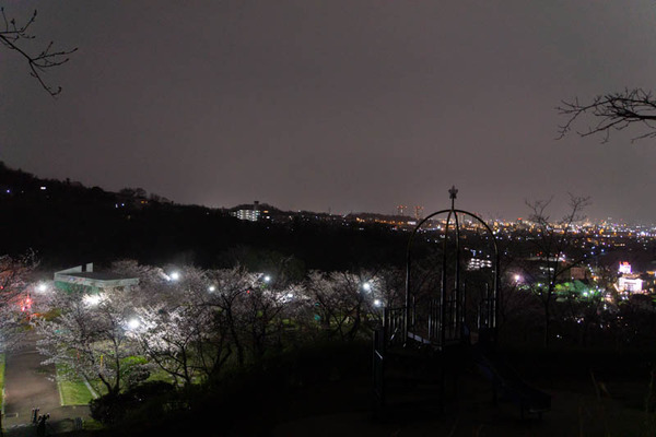 摂津峡20230326064659