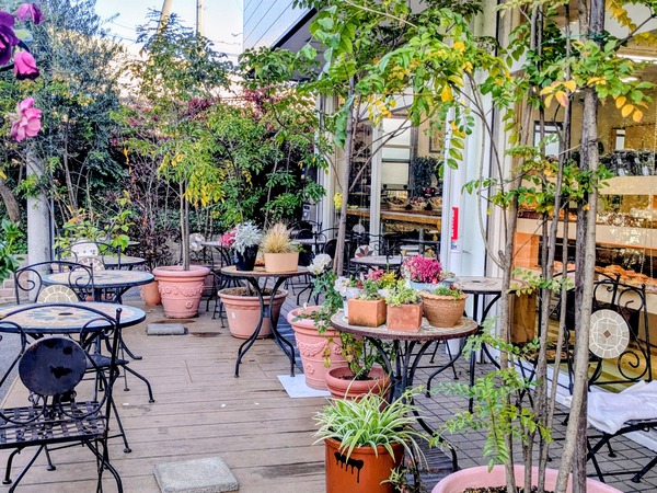 PXL_20251210_002959756~3