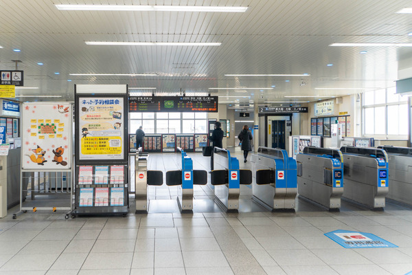 ハレミル20250307104545