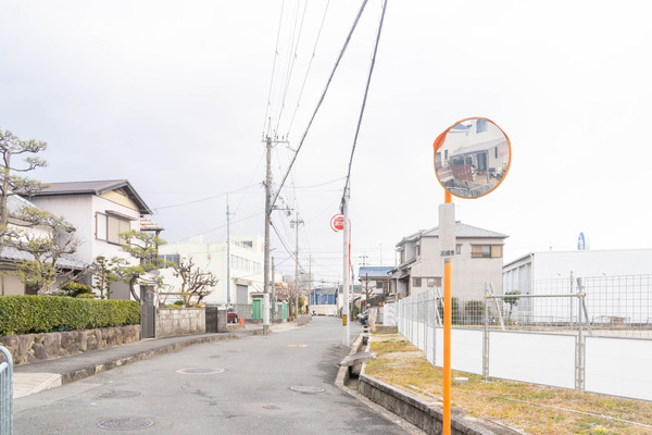 ドラッグコスモス-2101078