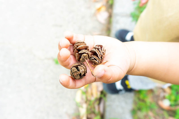 緑ヶ丘公園-2021051636