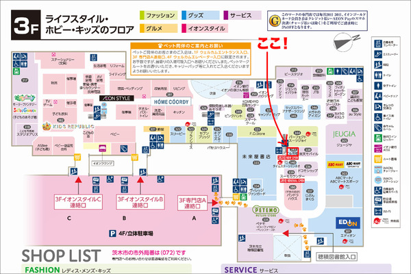 スクリーンショット-2025-02-28-12.47.39