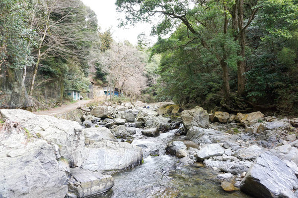 摂津峡公園-20230321111