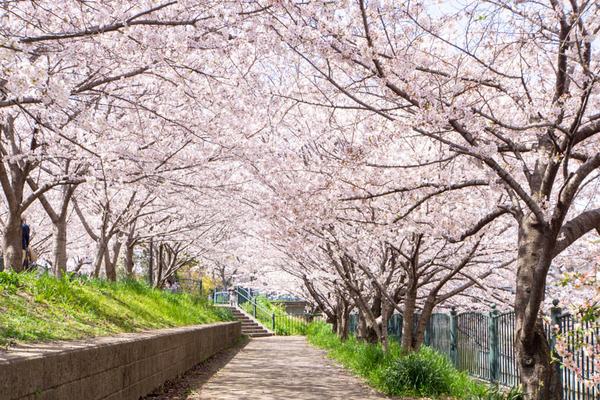 玉川橋20230329231502