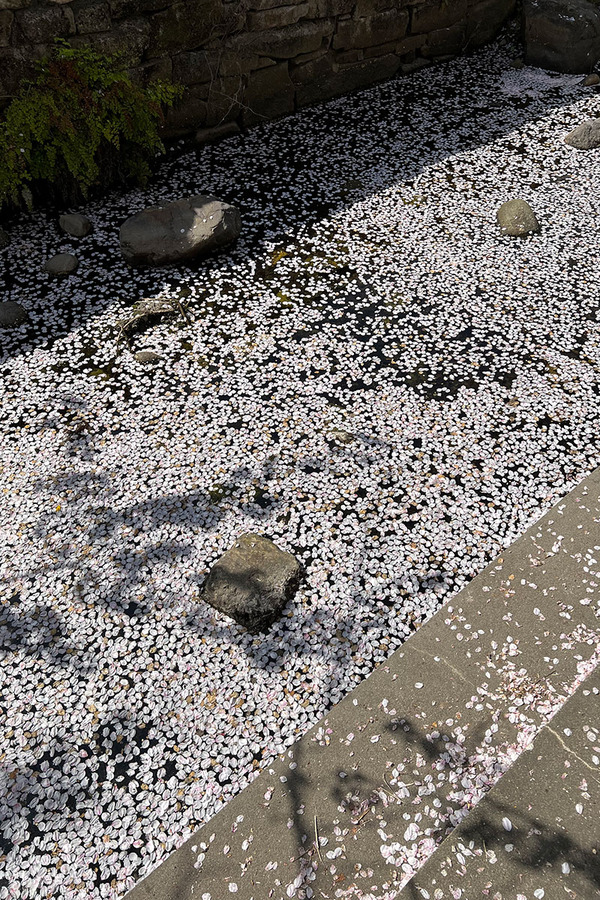 17C5A114-8577-4300-81AC-34AB1C6FB73A