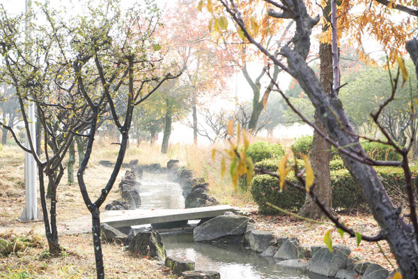 せせらぎ-202211224