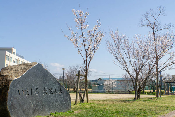 今城さくら20230322234827