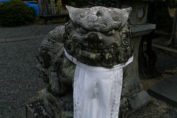 日吉神社-20121114