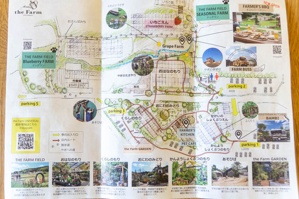 THEFARM20230822144504