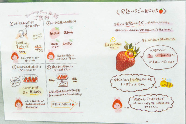 THEFARM20230822103304