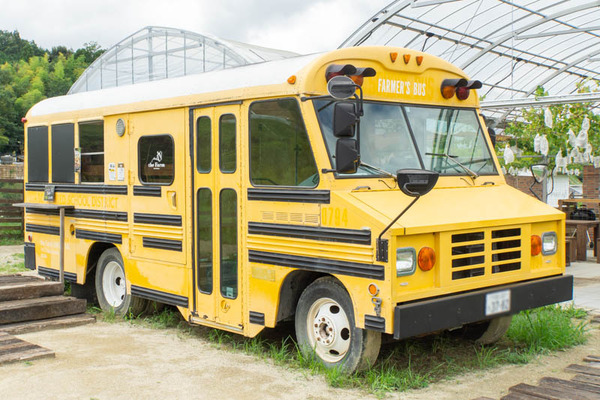 THEFARM20230822103315