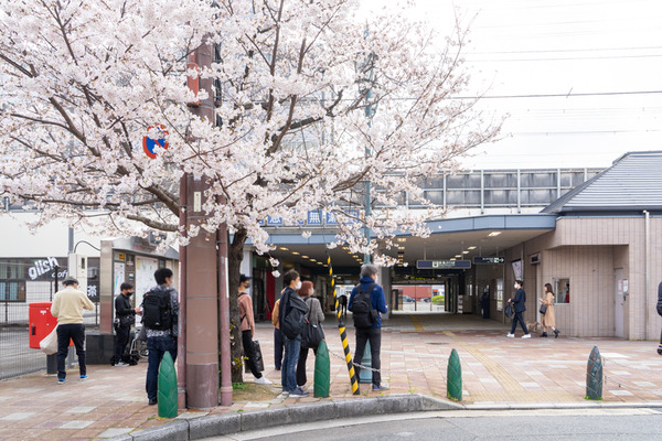 桜-2103291